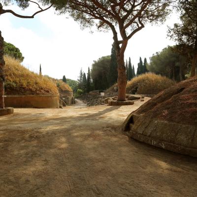 Cerveteri Necropoli Della Banditaccia Via Sepolcrale Principale 01