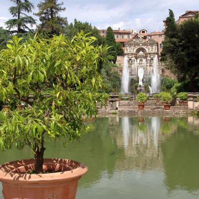Villa Deste 4691263 1280