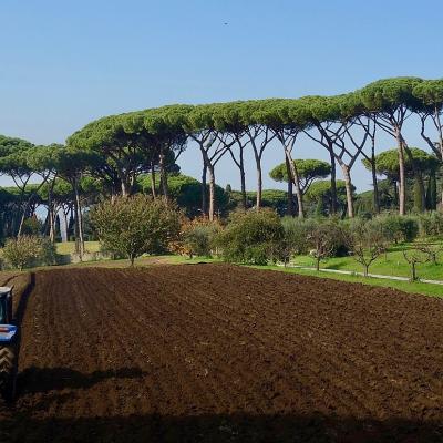 Villa Barberini Pontifical Gardens Castel Gandolfo 2